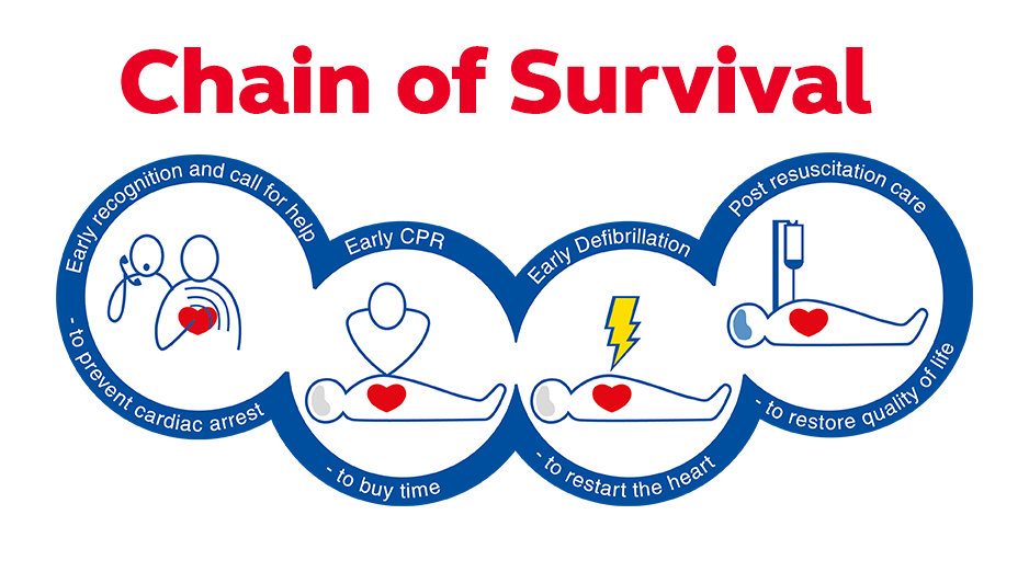 Guidelines Adult Basic Life Support And Automated External 